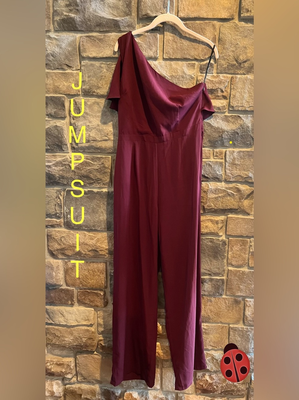 BB Dakota Burgundy Jumpsuit Size 10